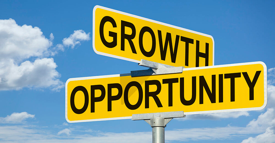 Embracing Change: Lessons from the Rollercoaster of 2023